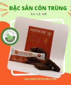 thanh protein dế